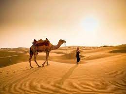 se-joindre-a-un-groupe-jaisalmerdesertsafari-pushkar-11jours